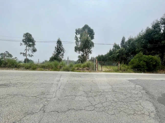 Terreno para Venda em Rio Meão Foto 10