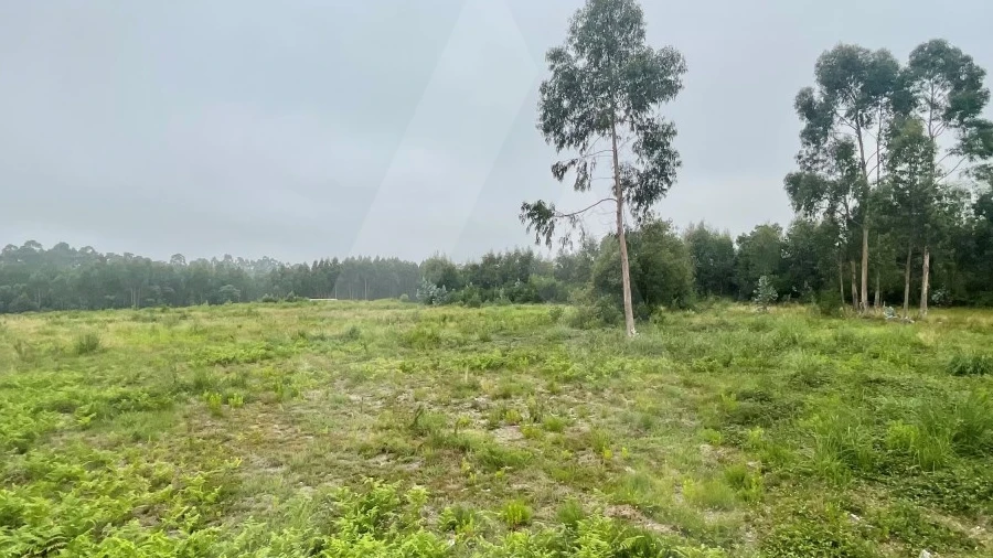 Terreno para Venda em Rio Meão