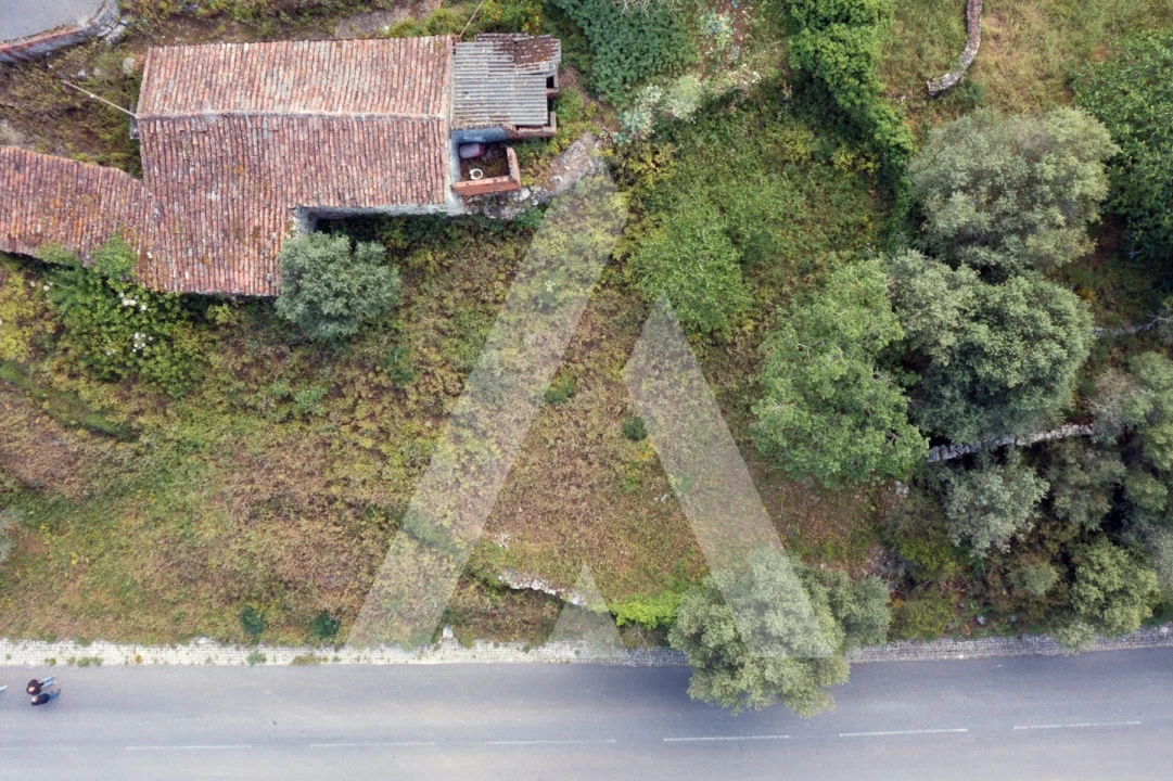 Terreno para Venda em Alqueidão da Serra Foto 2