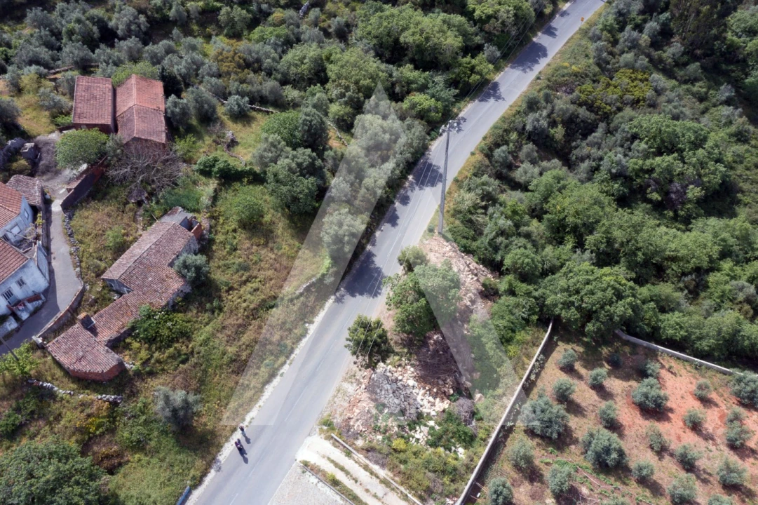 Terreno para Venda em Alqueidão da Serra Foto 6