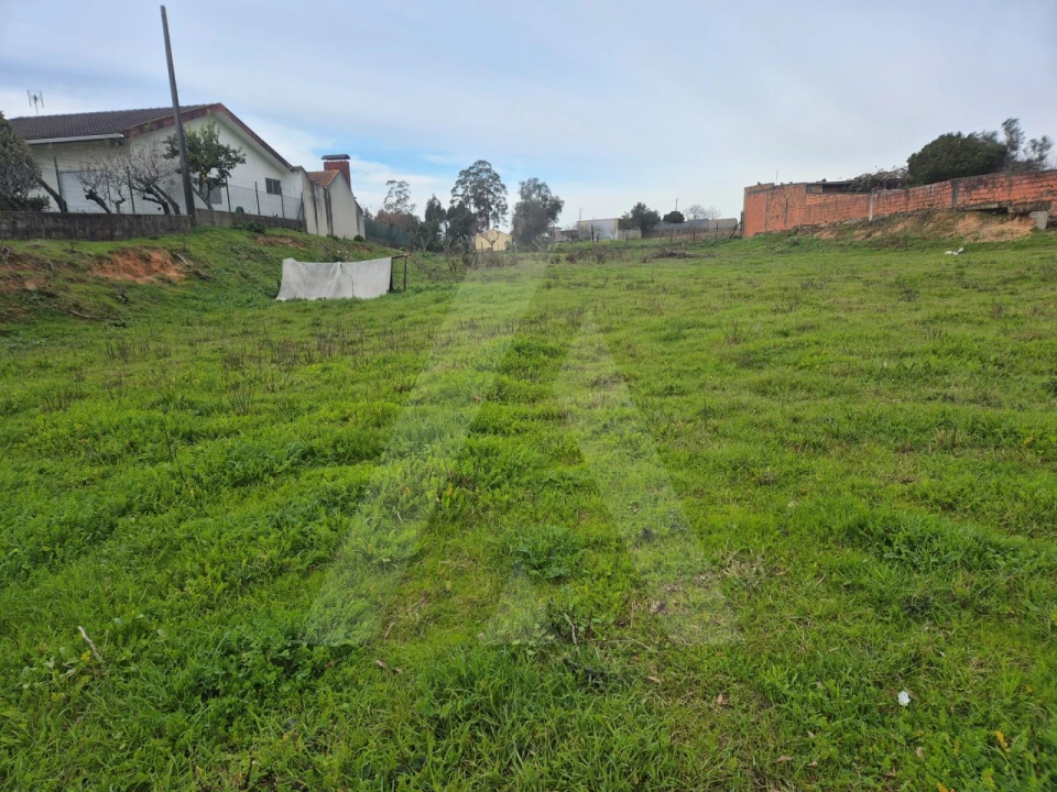 Terreno para Venda em Angeja Foto 4