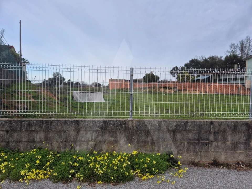 Terreno para Venda em Angeja Foto 5