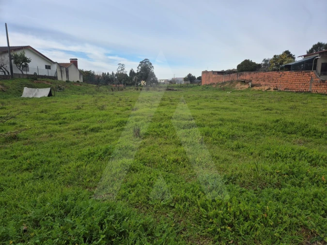 Terreno para Venda em Angeja Foto 1