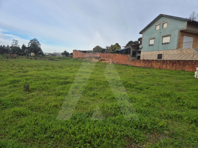 Terreno para Venda em Angeja Foto 7