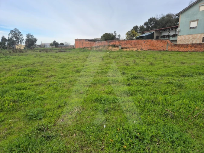 Terreno para Venda em Angeja Foto 8
