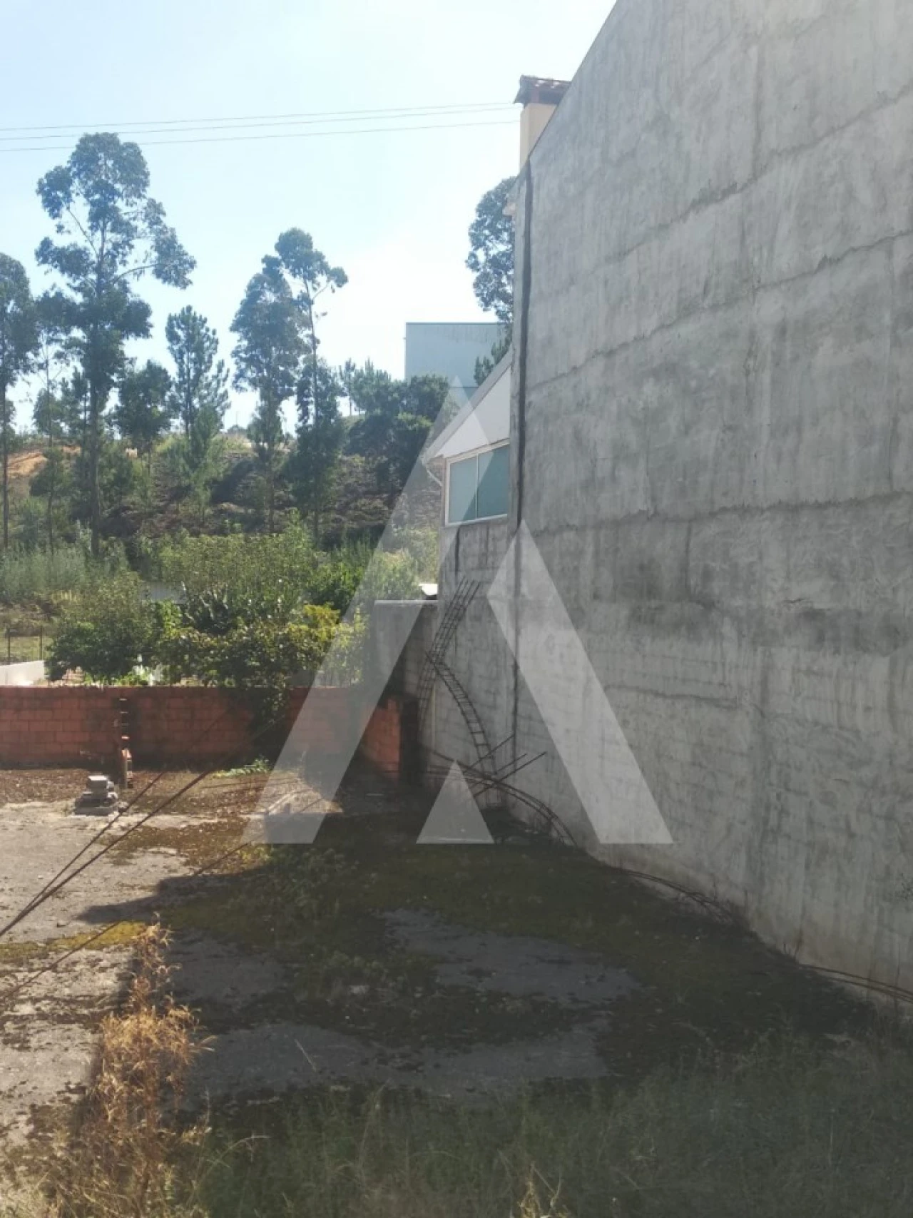 Terreno para Venda em Oiã Foto 6