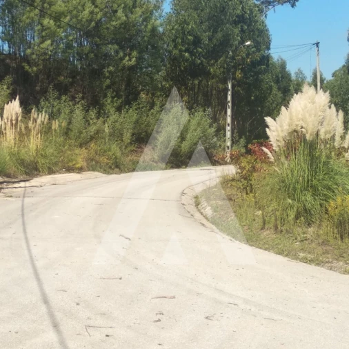 Terreno para Venda em Oiã Foto 5