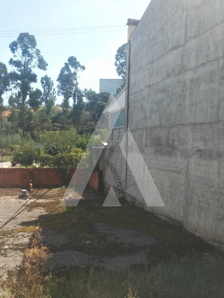 Terreno para Venda em Oiã Foto 6