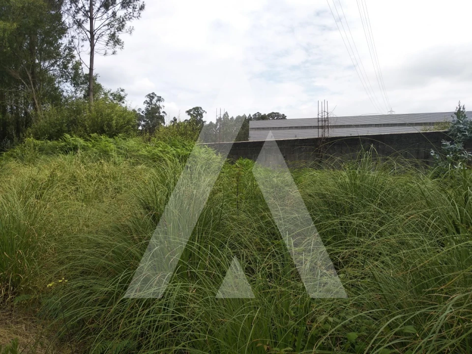 Terreno para Venda em Loureiro Foto 3