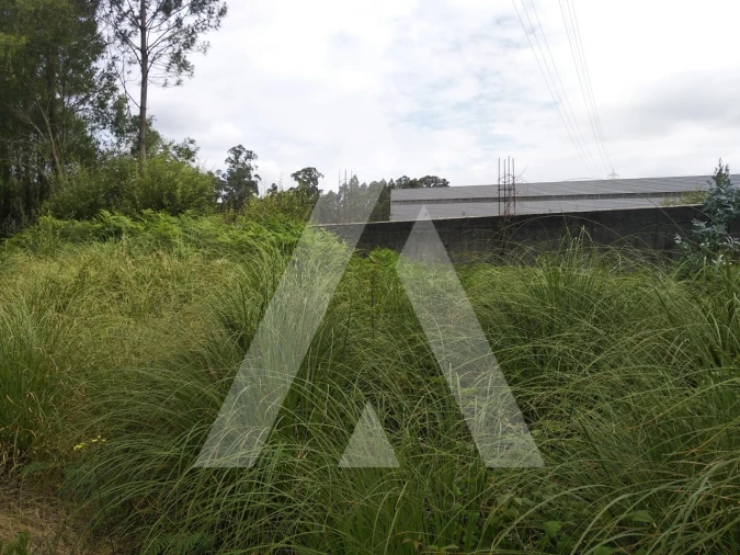 Terreno para Venda em Loureiro Foto 3