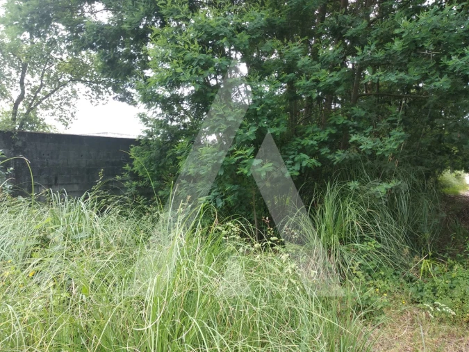 Terreno para Venda em Loureiro Foto 5