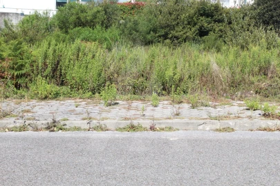 Terreno para Venda em Águeda e Borralha