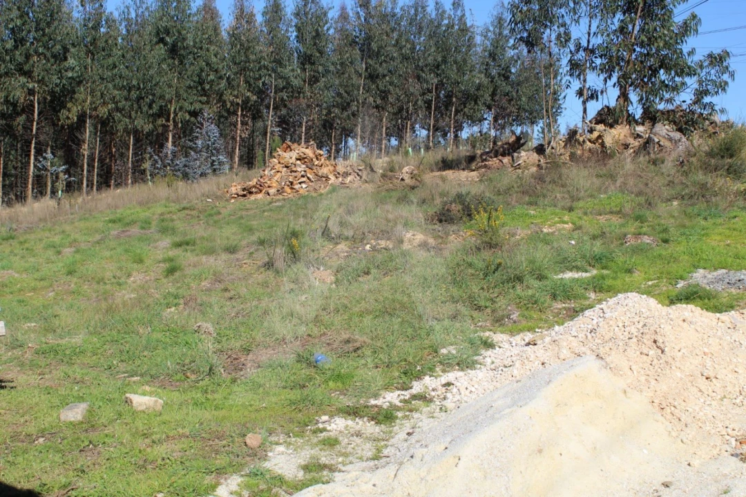 Terreno para Venda em Albergaria-A-Velha e Valmaior Foto 9