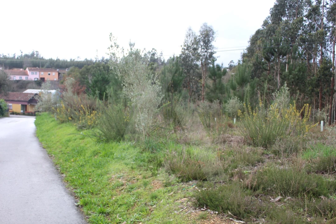 Terreno para Venda em Albergaria-A-Velha e Valmaior Foto 1