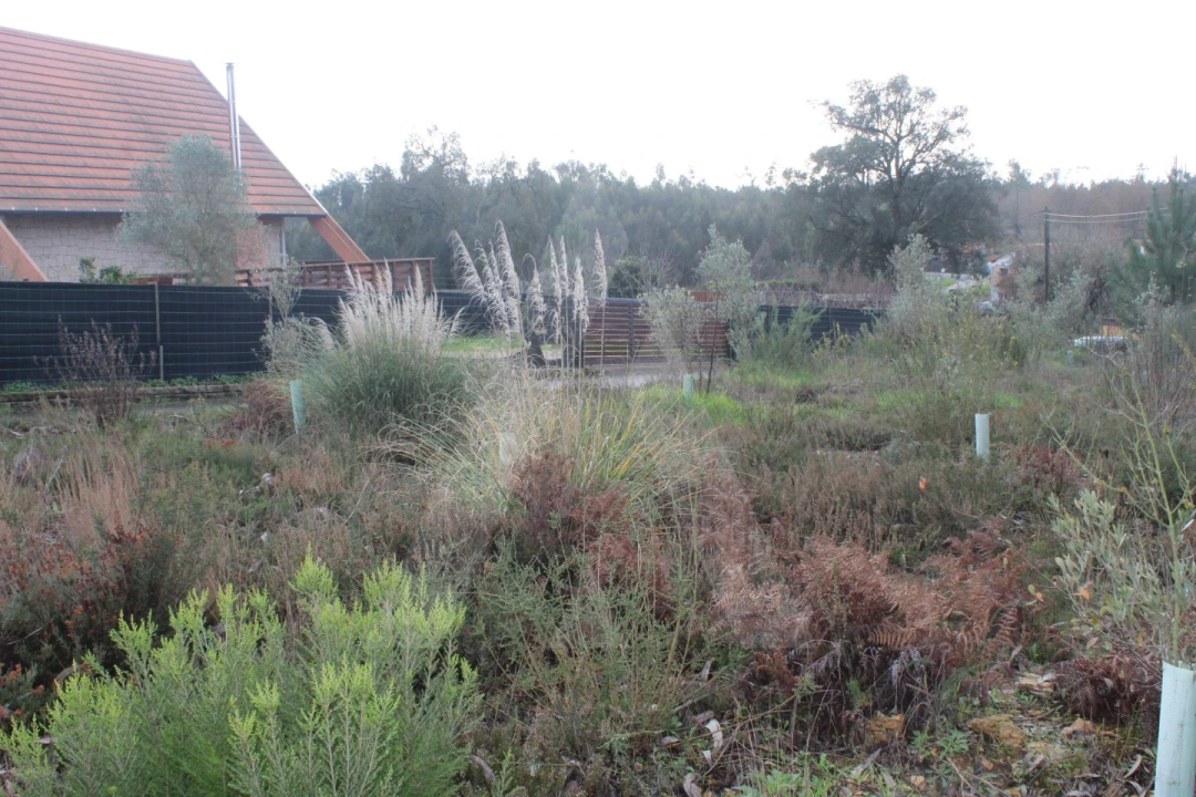 Terreno para Venda em Albergaria-A-Velha e Valmaior Foto 2