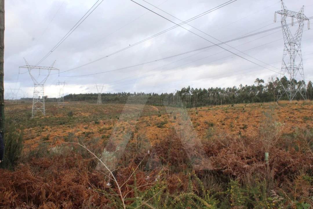 Terreno para Venda em Albergaria-A-Velha e Valmaior Foto 17