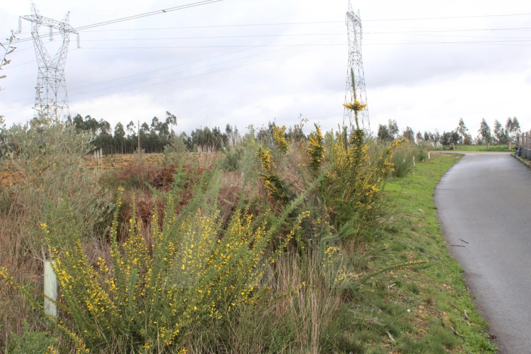 Terreno para Venda em Albergaria-A-Velha e Valmaior Foto 20