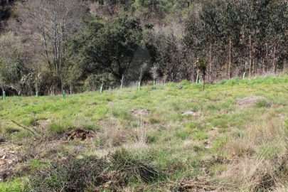 Terreno para Venda em Albergaria-A-Velha e Valmaior