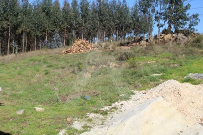 Terreno para Venda em Albergaria-A-Velha e Valmaior