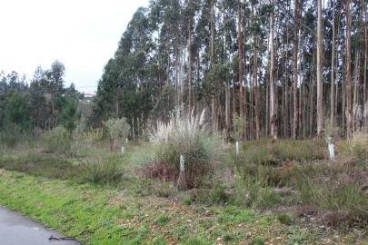 Terreno para Venda em Albergaria-A-Velha e Valmaior