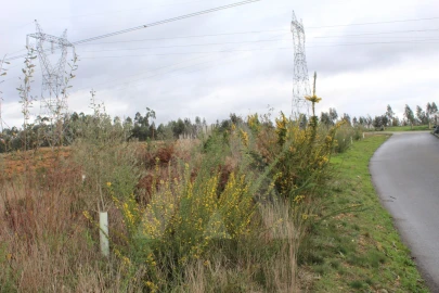 Terreno para Venda em Albergaria-A-Velha e Valmaior