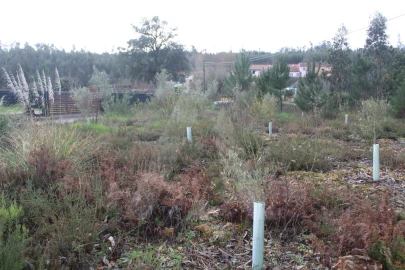 Terreno para Venda em Albergaria-A-Velha e Valmaior