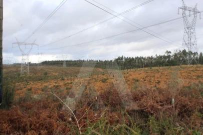 Terreno para Venda em Albergaria-A-Velha e Valmaior