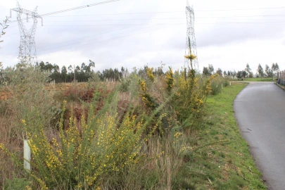 Terreno para Venda em Albergaria-A-Velha e Valmaior