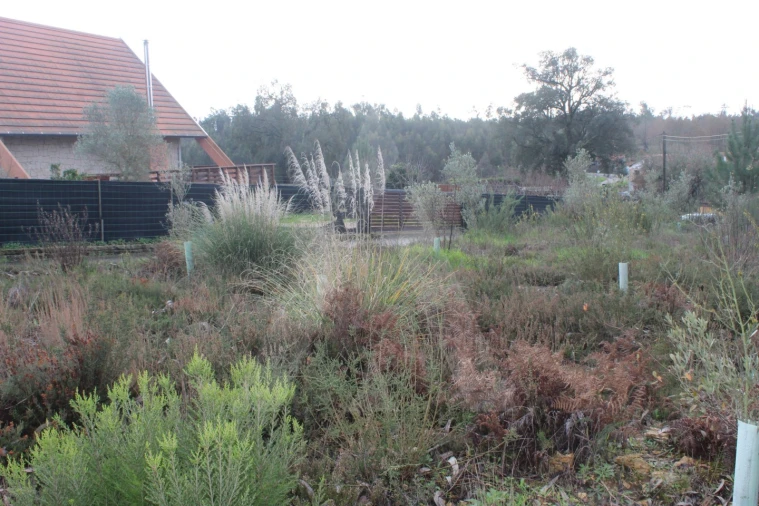 Terreno para Venda em Albergaria-A-Velha e Valmaior Foto 2