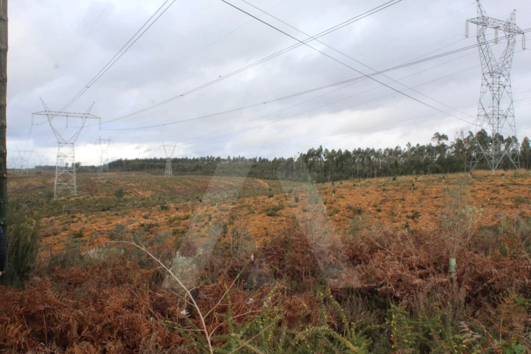 Terreno para Venda em Albergaria-A-Velha e Valmaior Foto 17