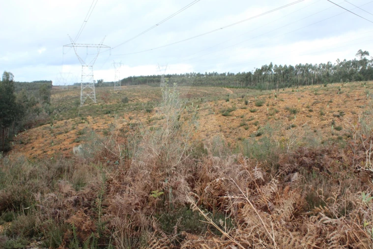 Terreno para Venda em Albergaria-A-Velha e Valmaior Foto 18