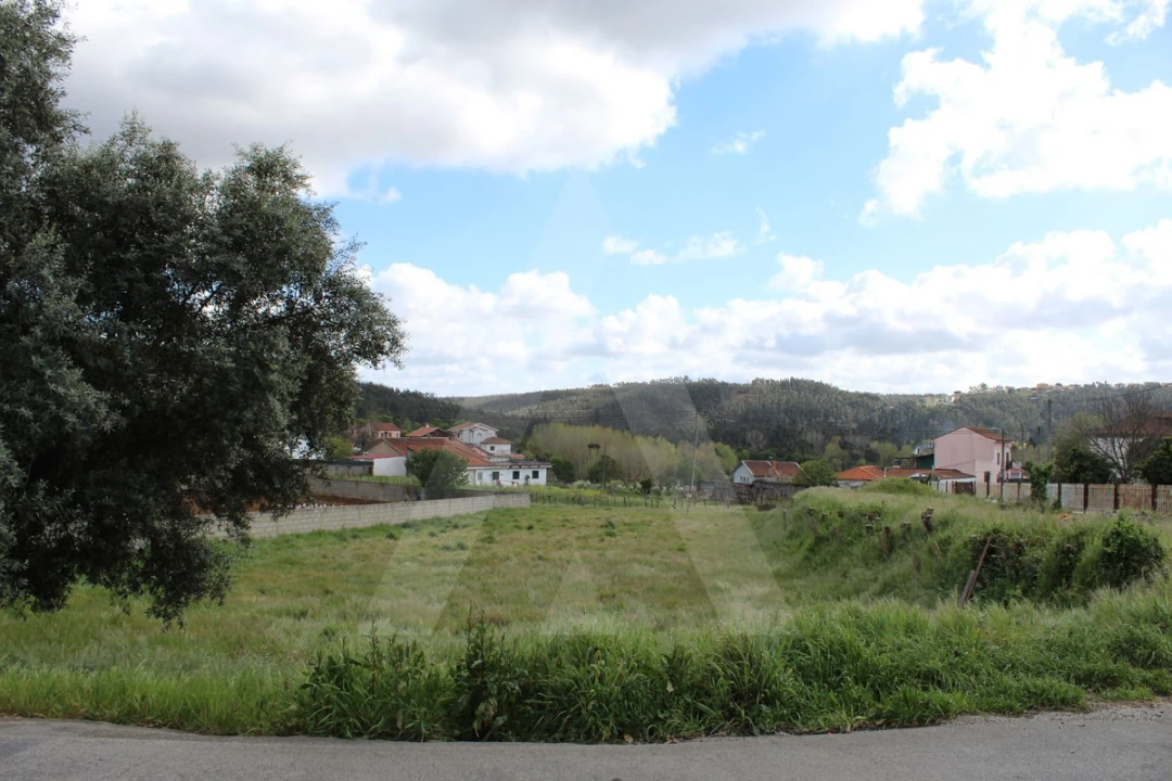 Terreno para Venda em Albergaria-A-Velha e Valmaior Foto 2