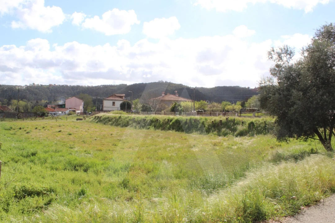 Terreno para Venda em Albergaria-A-Velha e Valmaior Foto 3