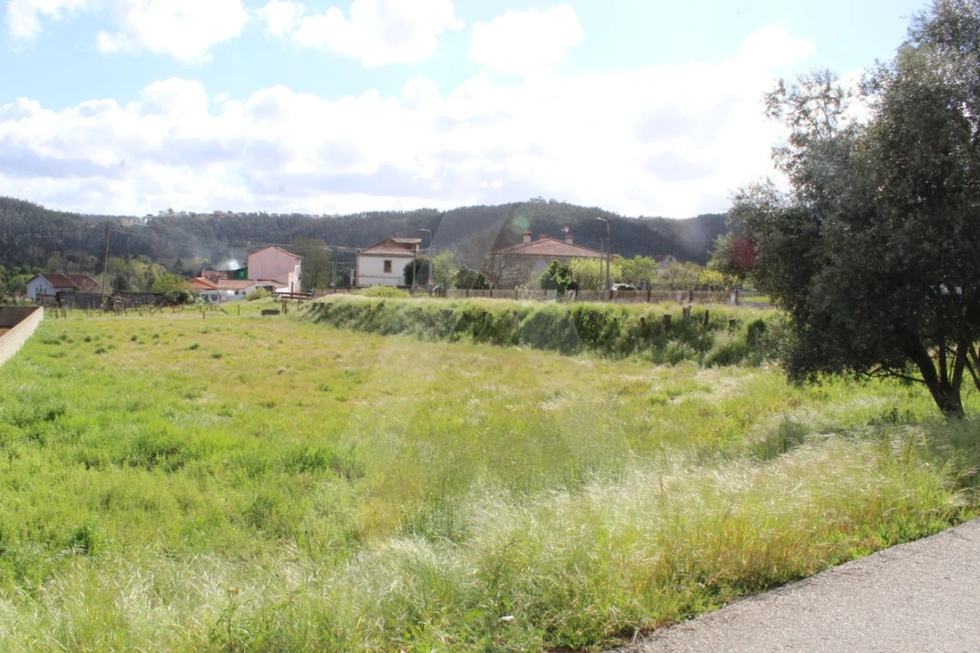 Terreno para Venda em Albergaria-A-Velha e Valmaior Foto 4