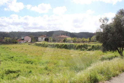 Terreno para Venda em Albergaria-A-Velha e Valmaior