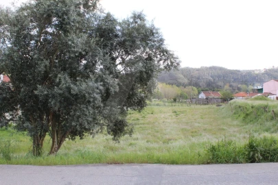 Terreno para Venda em Albergaria-A-Velha e Valmaior
