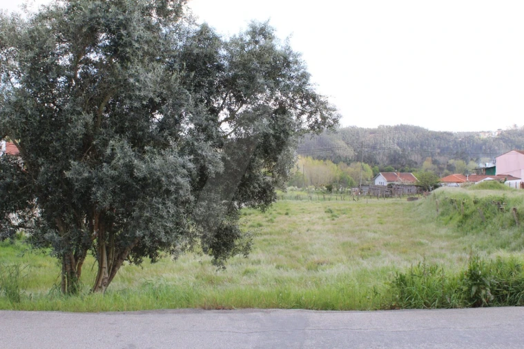 Terreno para Venda em Albergaria-A-Velha e Valmaior Foto 5