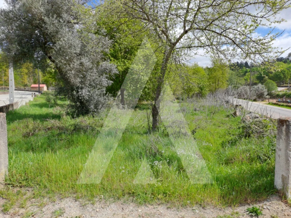 Terreno para Venda em Orgens Foto 2