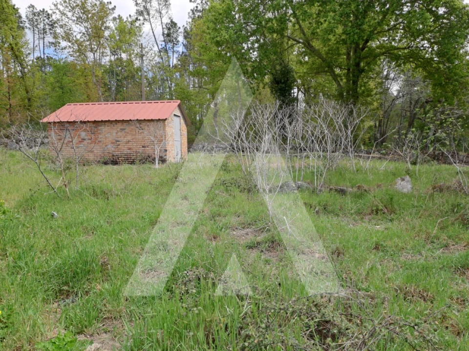 Terreno para Venda em Orgens Foto 6