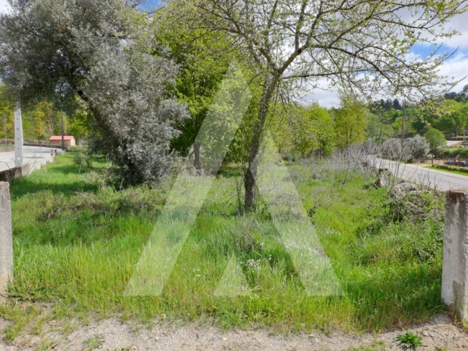 Terreno para Venda em Orgens Foto 2