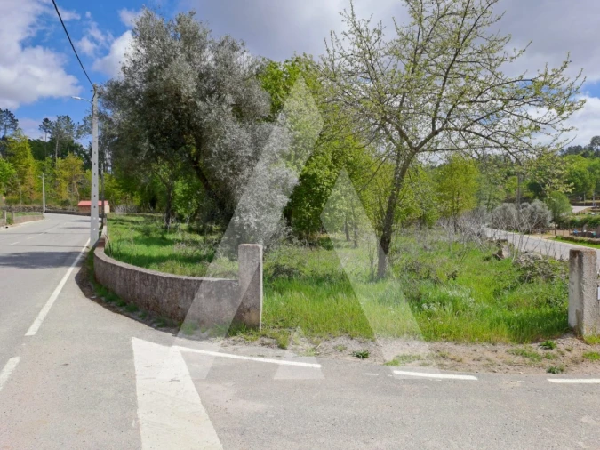 Terreno para Venda em Orgens