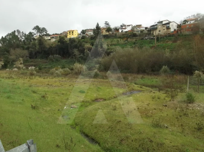 Terreno para Venda em Recardães e Espinhel