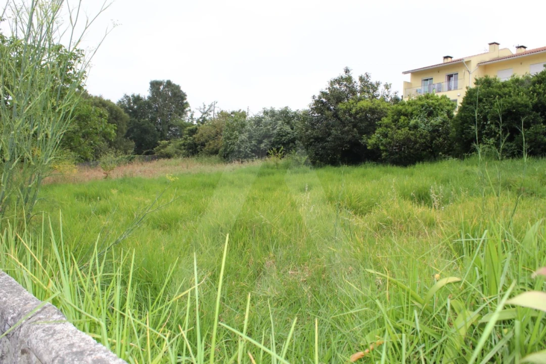 Terreno para Venda em Macinhata do Vouga Foto 2