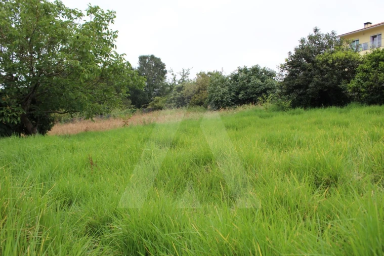 Terreno para Venda em Macinhata do Vouga Foto 1