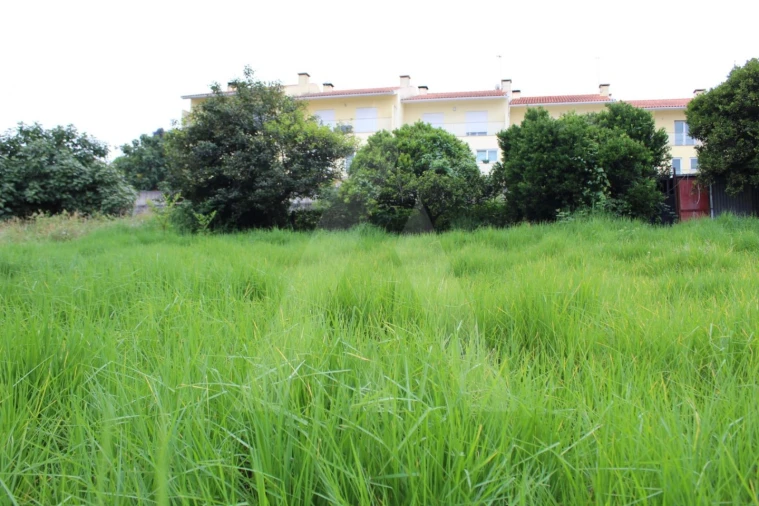 Terreno para Venda em Macinhata do Vouga Foto 3