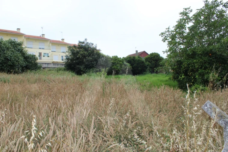 Terreno para Venda em Macinhata do Vouga Foto 4