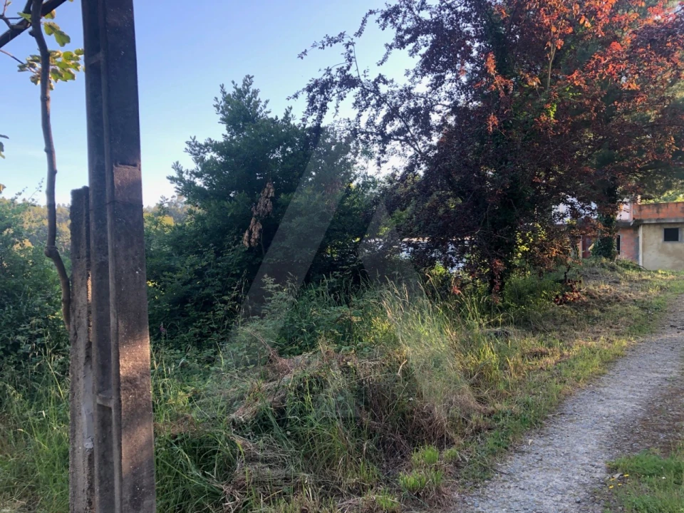 Terreno para Venda em Pessegueiro do Vouga Foto 3