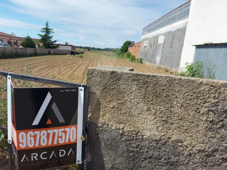 Terreno para Venda em Branca Foto 2