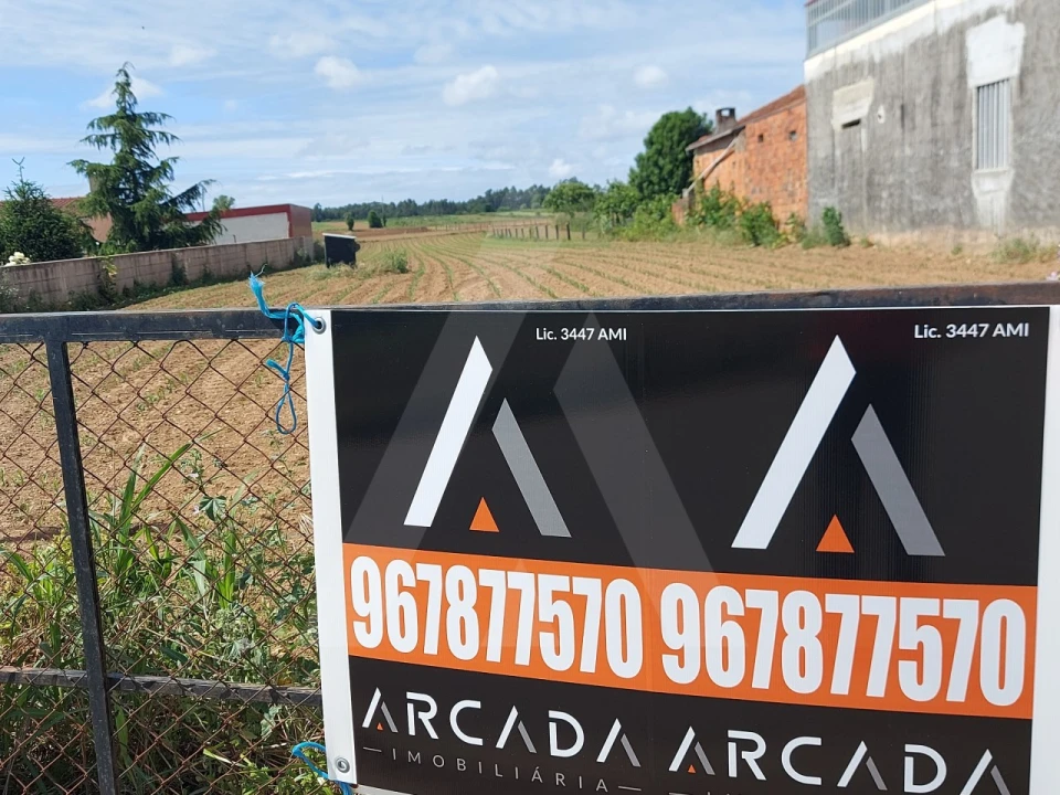 Terreno para Venda em Branca Foto 1