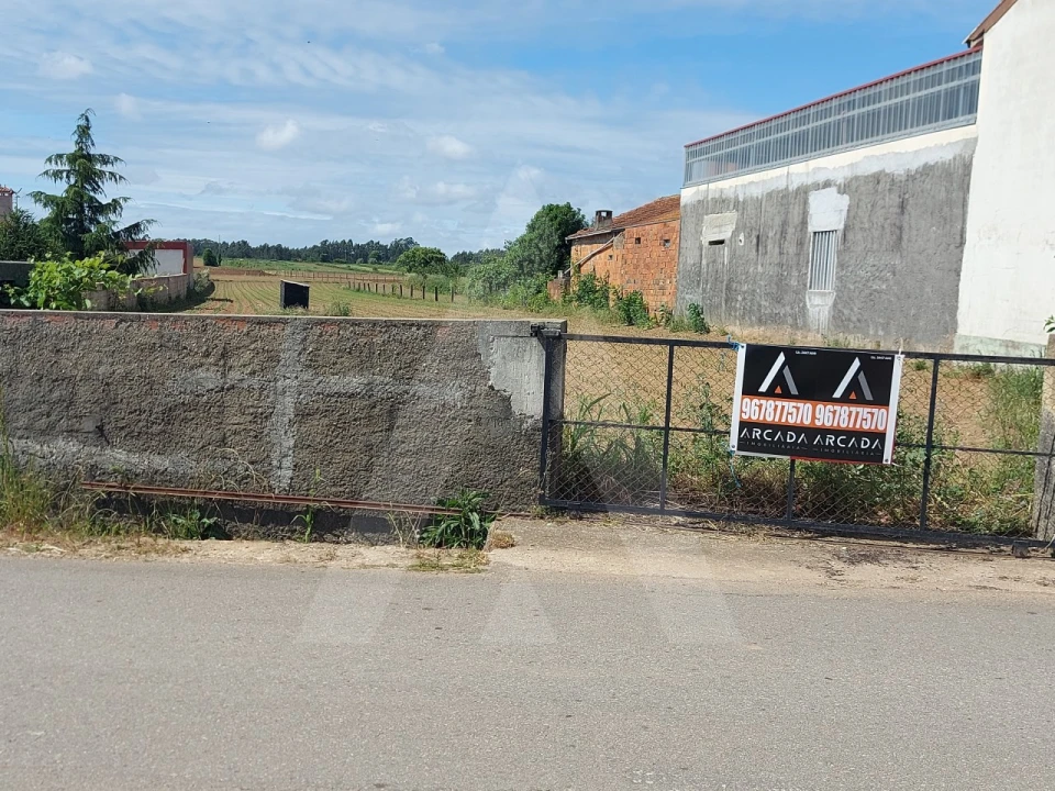 Terreno para Venda em Branca Foto 3